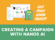 Creating a campaign with Nanos AI